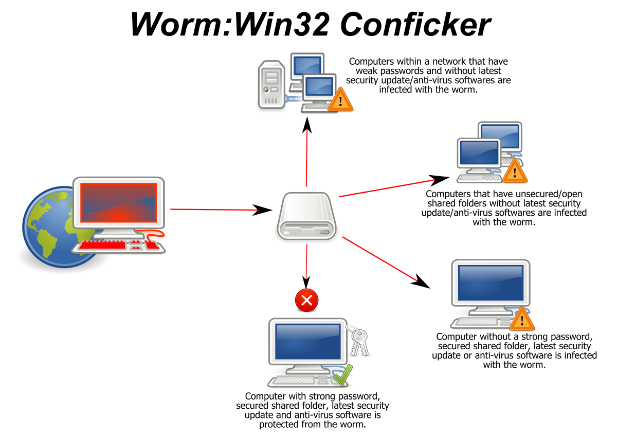 A computer virus spreading through a network