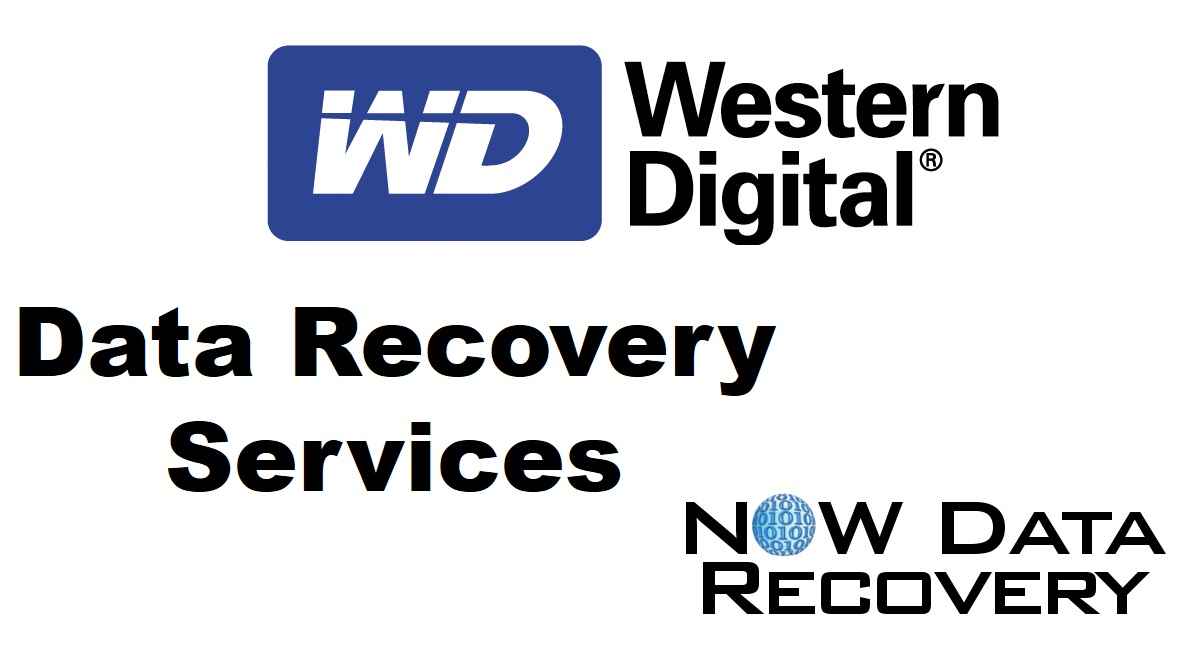Is Western Digital data recovery expensive? - The cost of Western Digital data recovery can vary depending on factors such as the extent of data loss, the complexity of the recovery process, and the specific services required. It is best to contact a data recovery service provider for a quote.
Can Western Digital data recovery services retrieve all types of data? - Yes, professional Western Digital data recovery services can recover various types of data including documents, photos, videos, musi